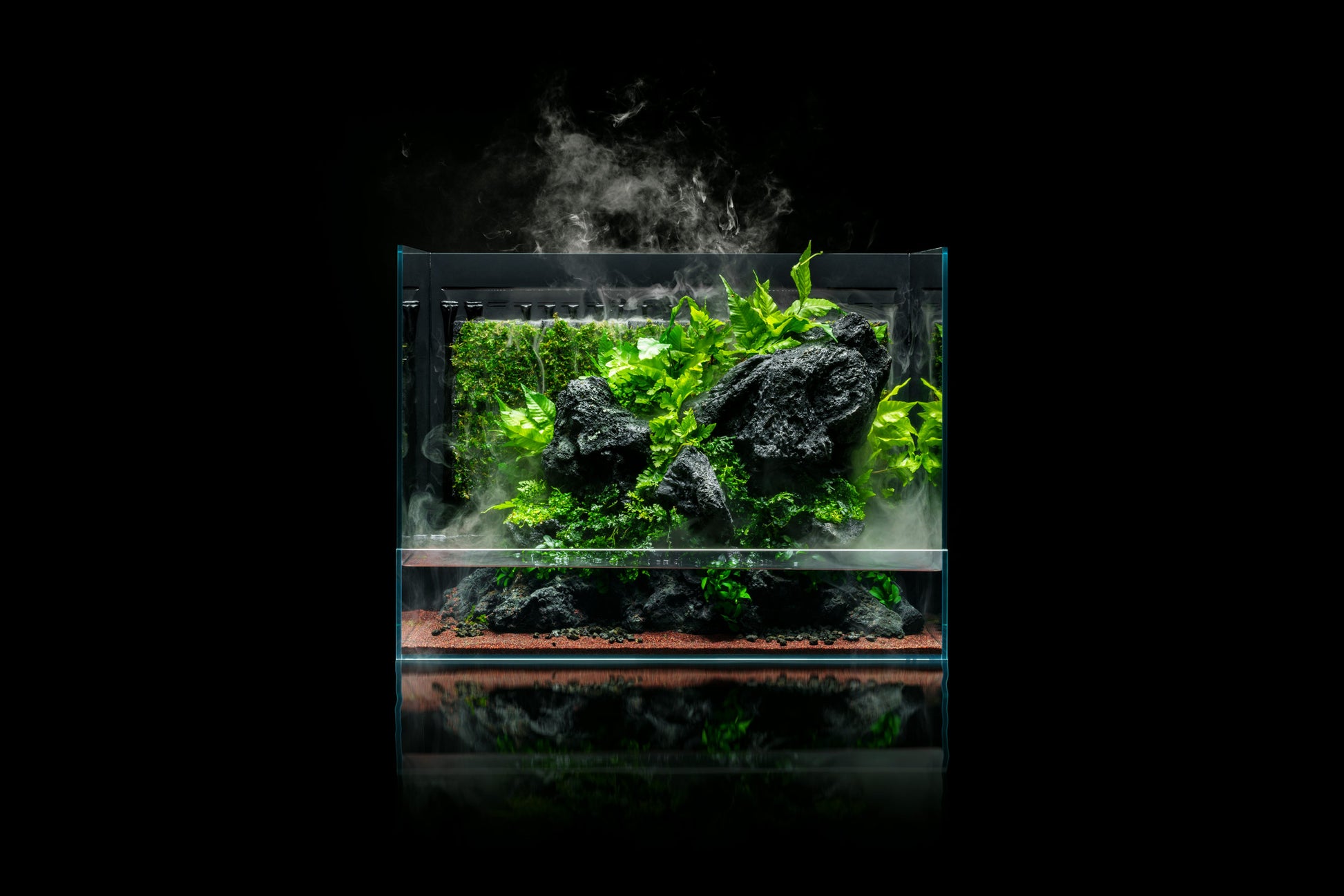 UNS Foresta Integrated Paludarium - 60E - Glass Aqua