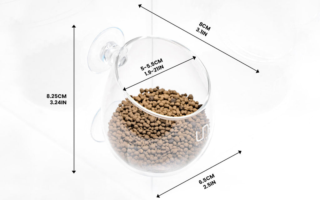 UNS Glass Plant Cultivation Cup - Glass Aqua