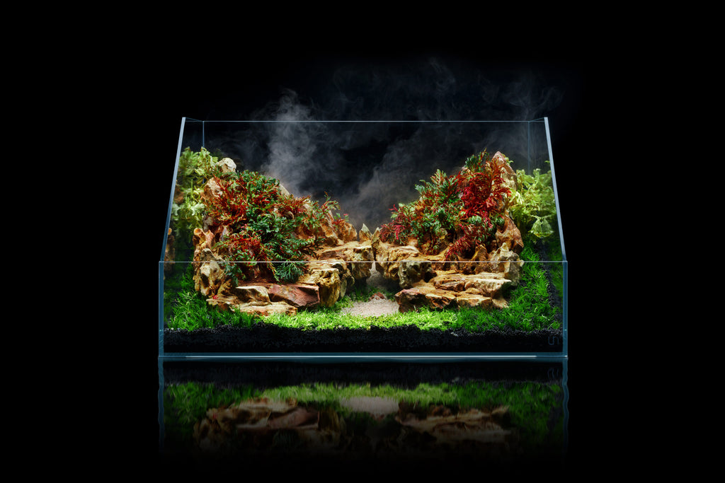 UNS Paludarium Tank System - Glass Aqua