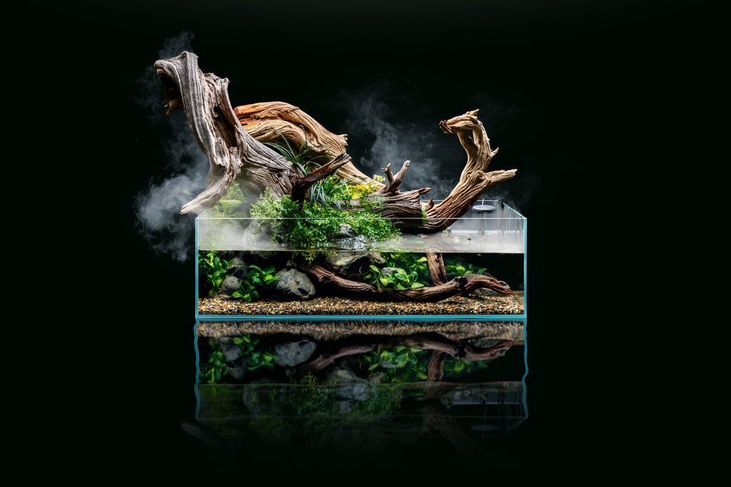 UNS Rimless Shallow Glass Aquarium Tank - Glass Aqua