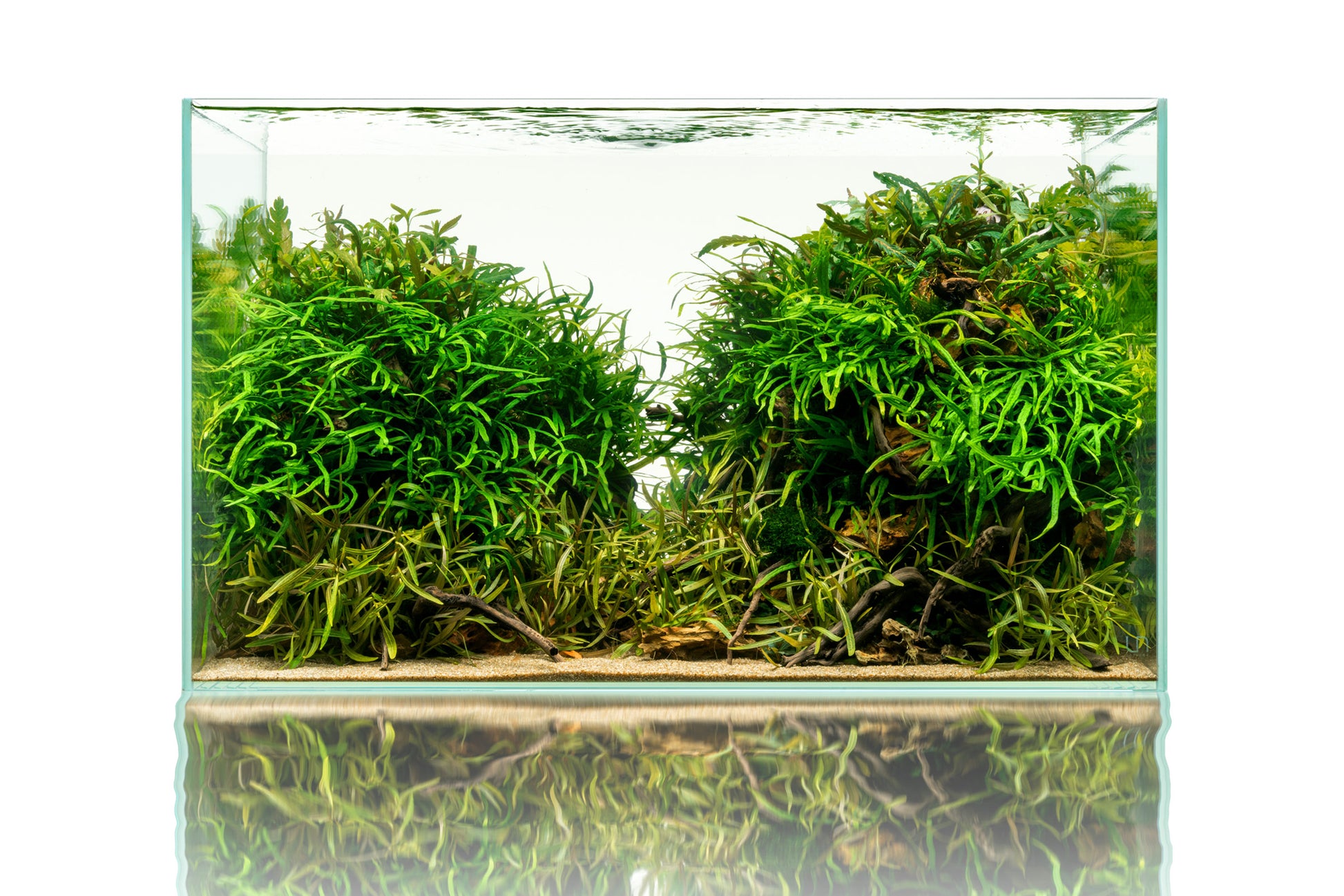 Ultum Nature Systems Rimless Standard Glass Aquarium Tank