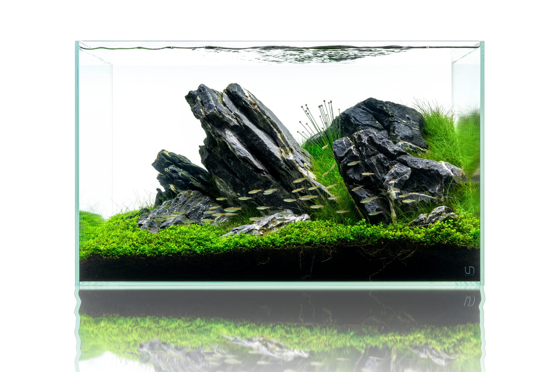 Ultum Nature Systems Rimless Standard Glass Aquarium Tank