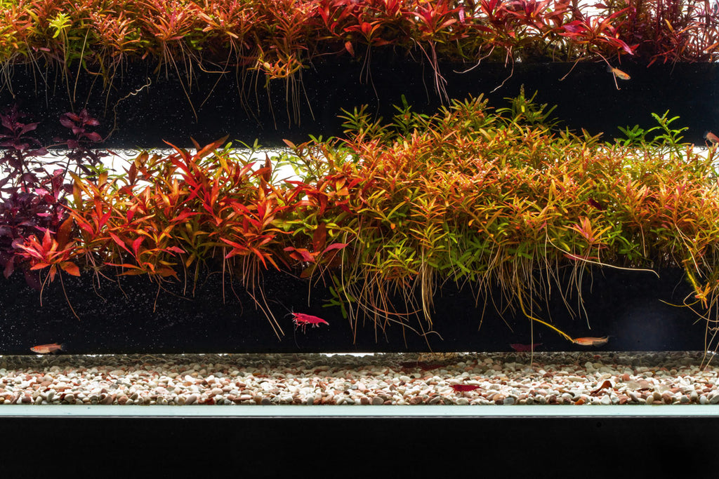 Ultum Nature Systems Controsand - Tahoe - Glass Aqua