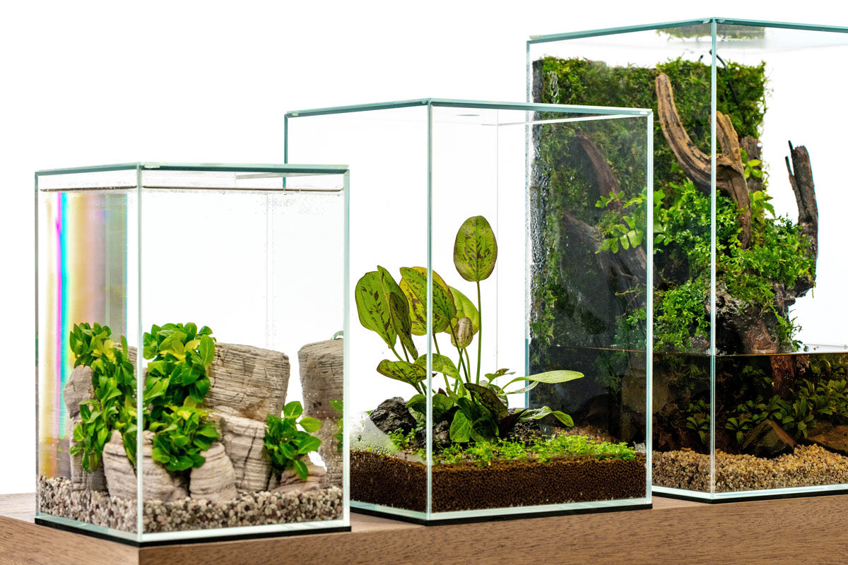 Ultum Nature Systems UNS 20TM 25TM 30TM Prism Paludarium Terrarium Aquarium Planter