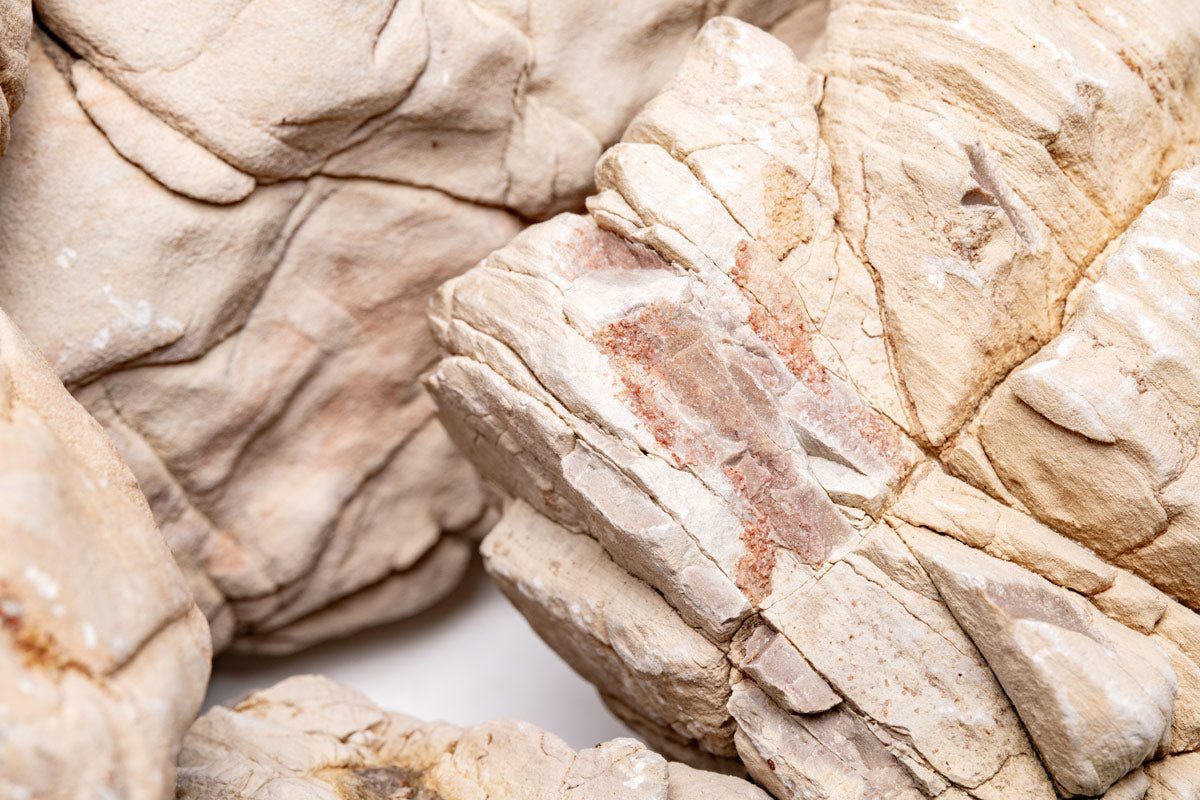 White Elephant Skin Stone - Planted Aquarium Tank Hardscape | Glass Aqua