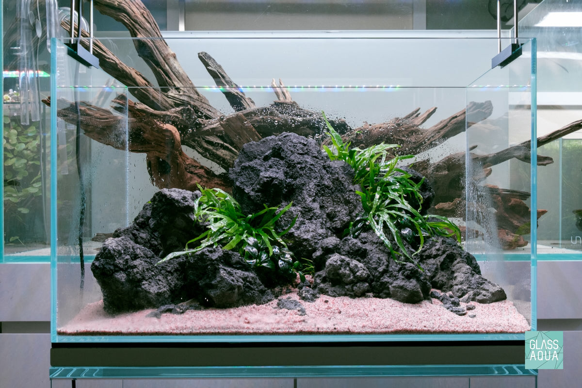 Chameleon Stone