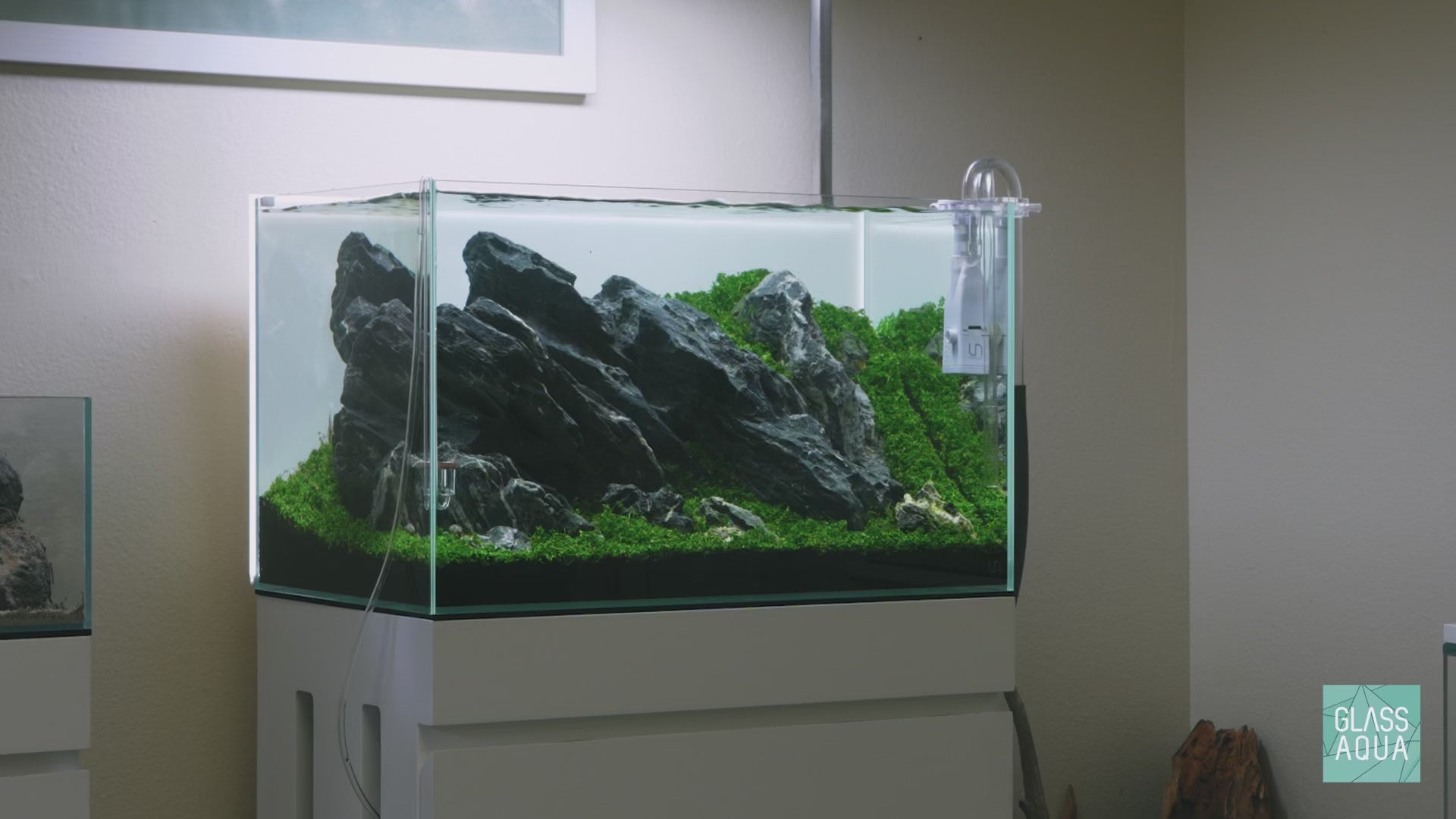 Ultum Nature Systems UNS 60U 20 Gallon Iwagumi Aquascape Planted Aquarium Tank