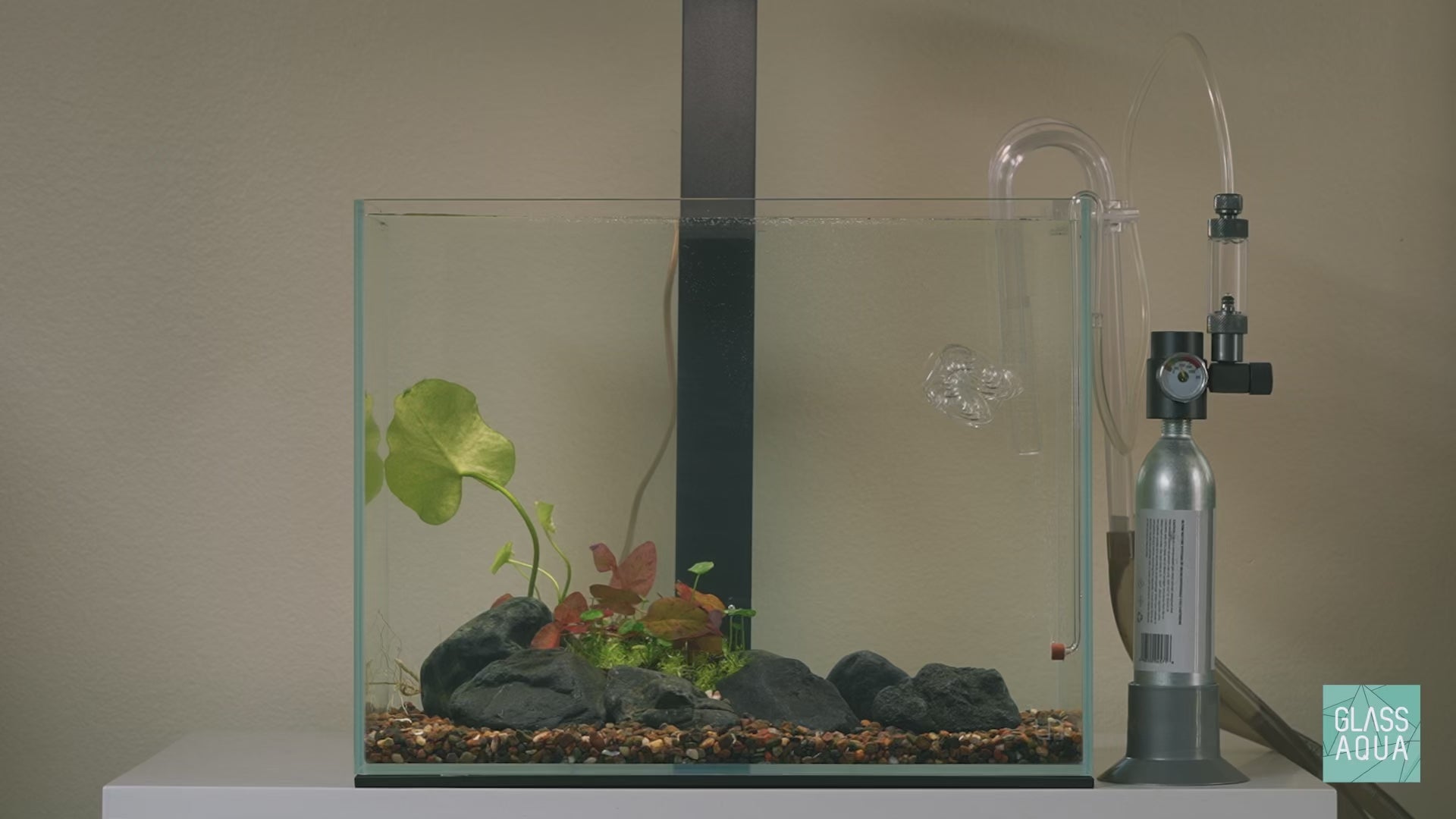 Ultum Nature Systems UNS Delta Aquarium Tank Canister Filter Aquario Neo Flow Pipe Setup 