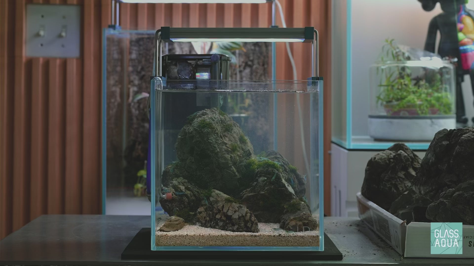 Ultum Nature Systems UNS 20C Cube Iwagumi Aquascape Planted Shrimp Aquarium Tank
