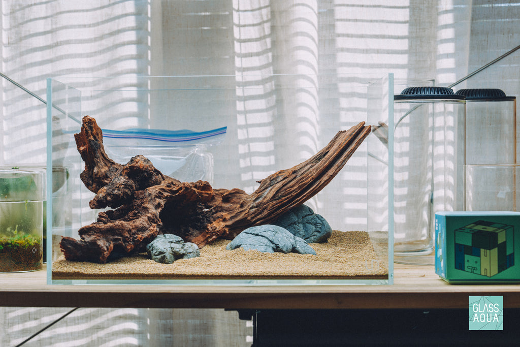 Glass Aqua Quick Scape 151 ready made aquascape using natural driftwood and stone