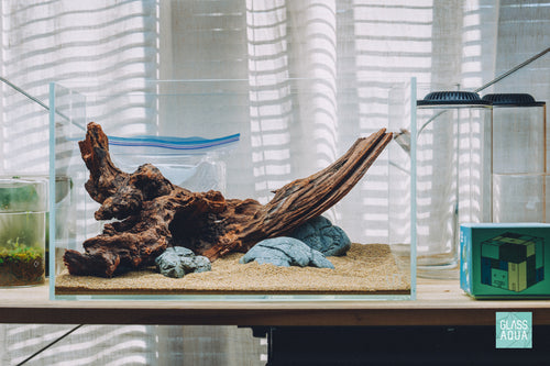 Glass Aqua Quick Scape 151 ready made aquascape using natural driftwood and stone
