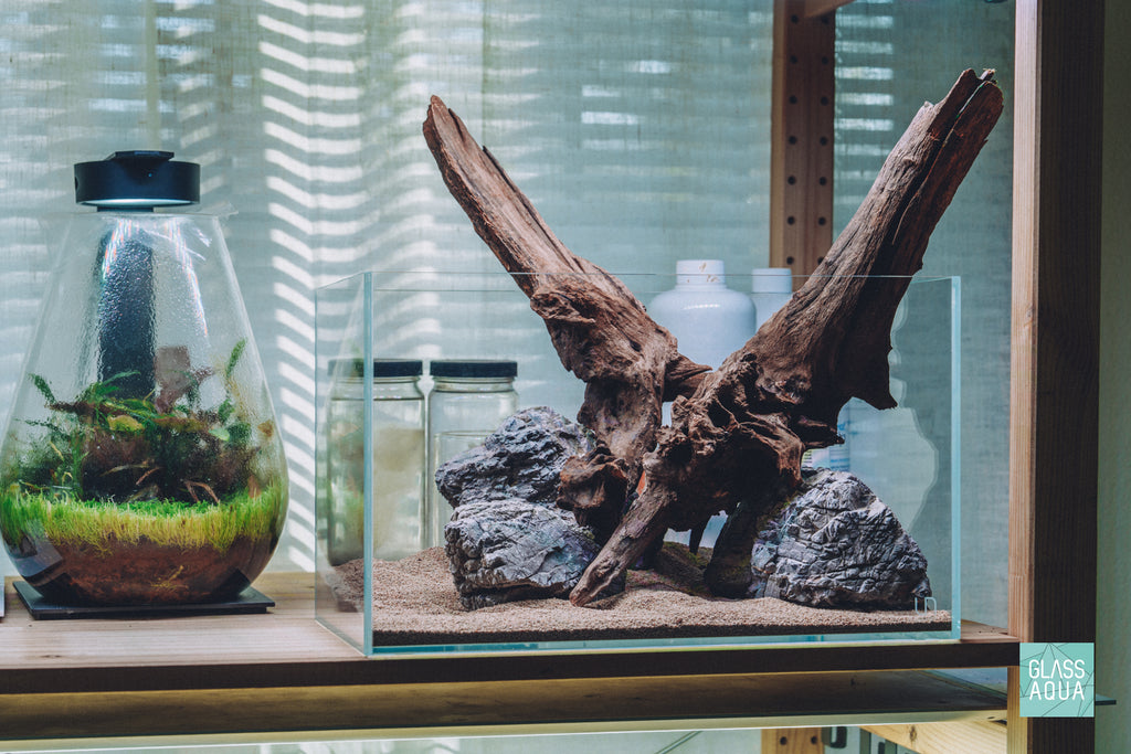 Glass Aqua Quick Scape 153 in the Ultum Nature Systems 5N 4.6 gallon nano rimless aquarium