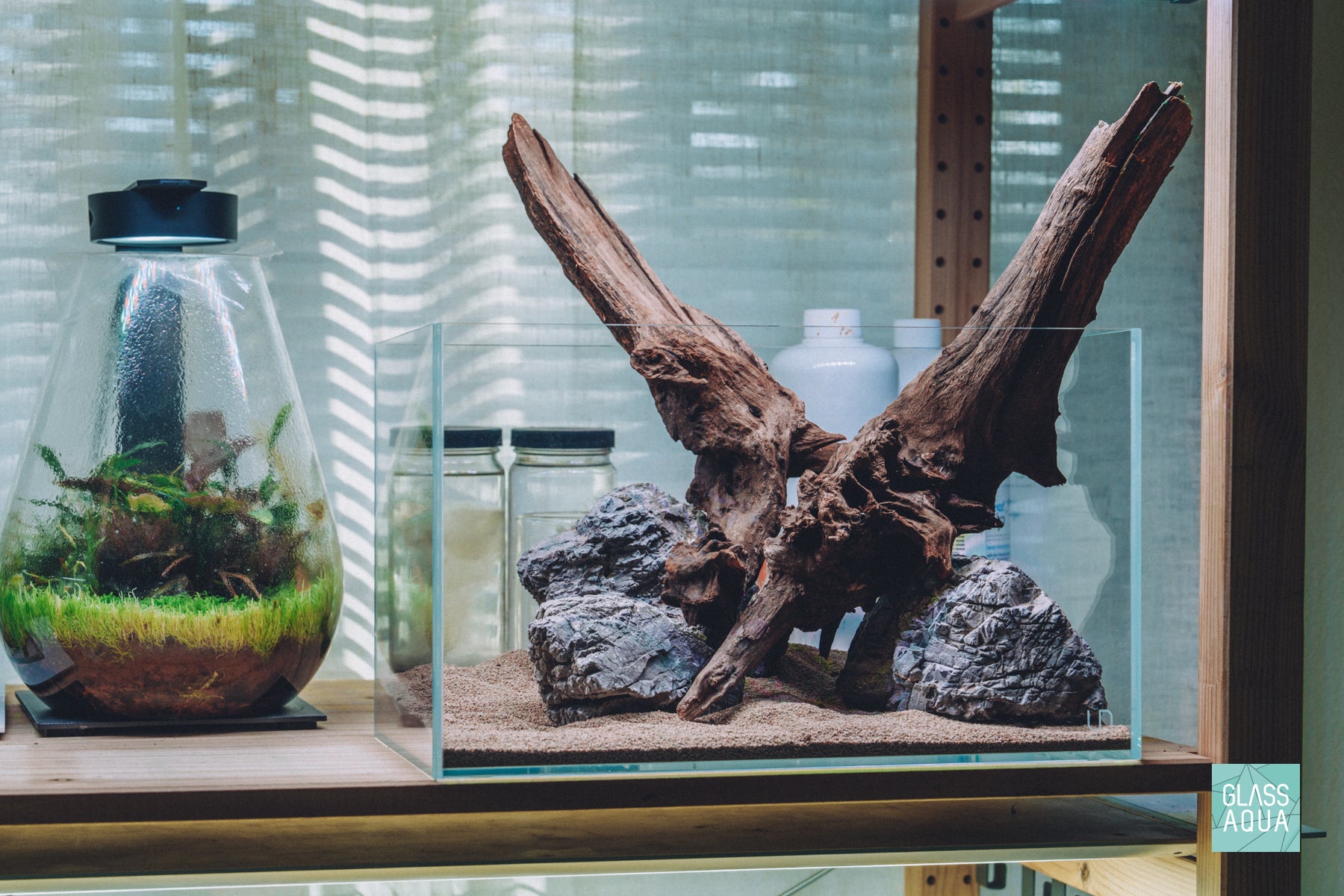 Glass Aqua Quick Scape 153 in the Ultum Nature Systems 5N 4.6 gallon nano rimless aquarium