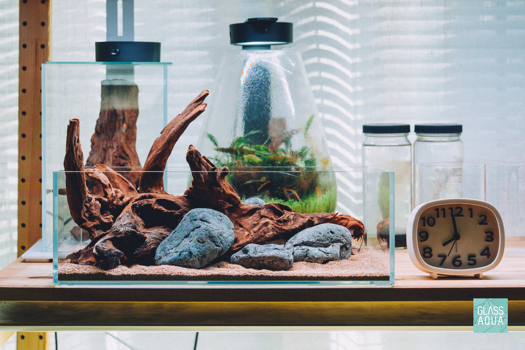 Glass Aqua Quick Scape 154 in UNS 5S shallow rimless aquarium