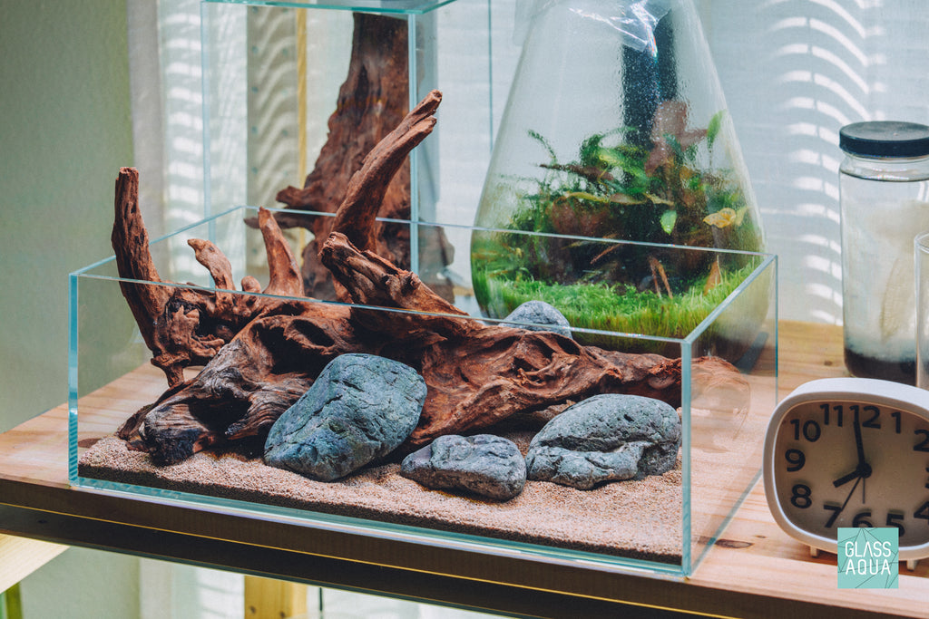 Small UNS 5S shallow aquarium with driftwood and rocks