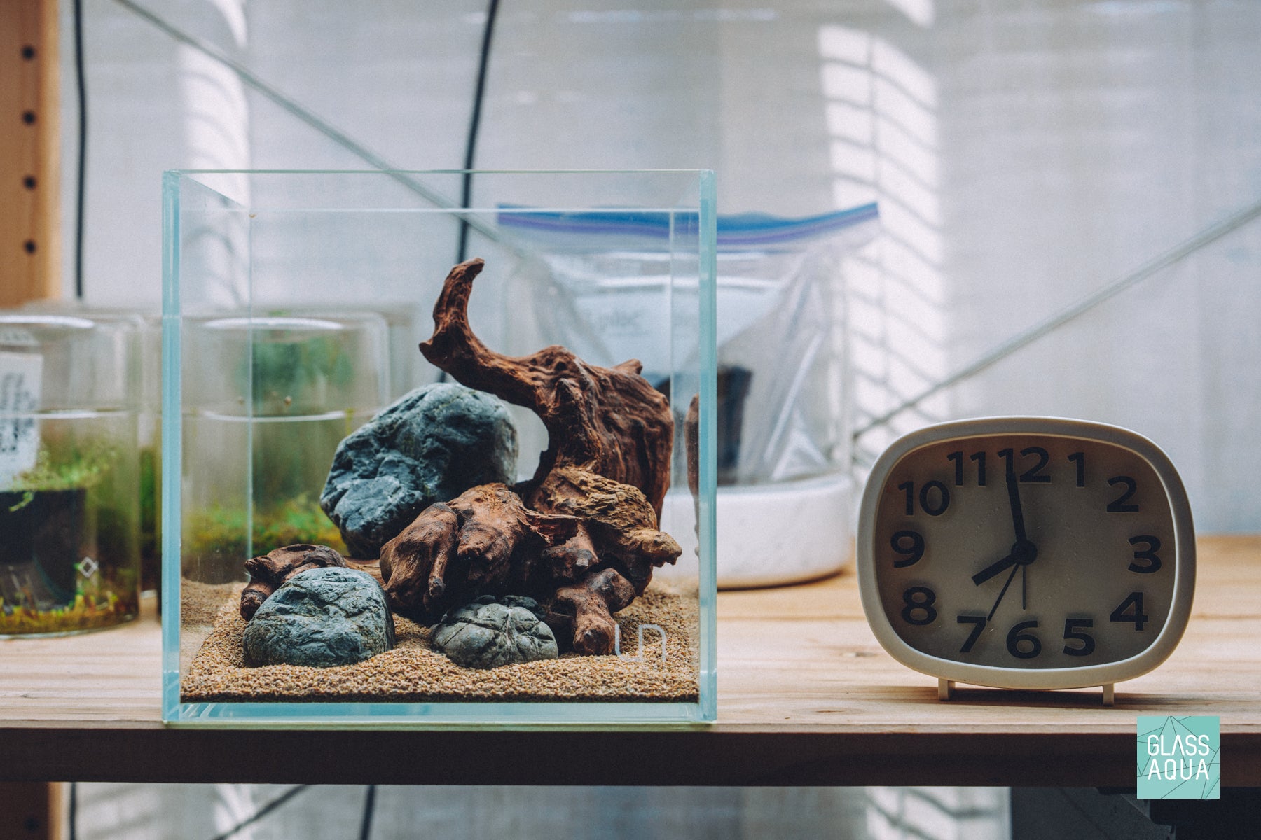 Glass Aqua Quick Scape 155 in Ultum Nature Systems 16C nano cube aquarium