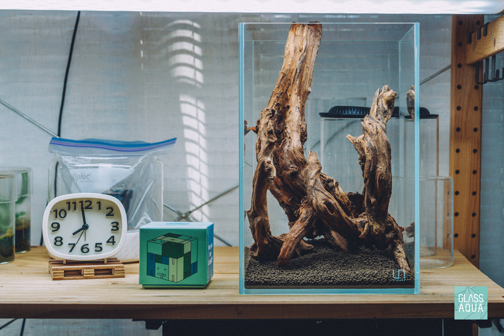 Glass Aqua Quick Scape 156 featuring Pacific Wood in the UNS 16T tall tank