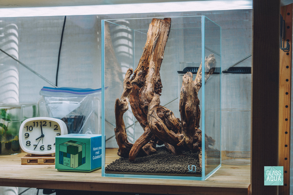 Glass Aqua Quick Scape 156 in the UNS 16T tall rimless glass aquarium