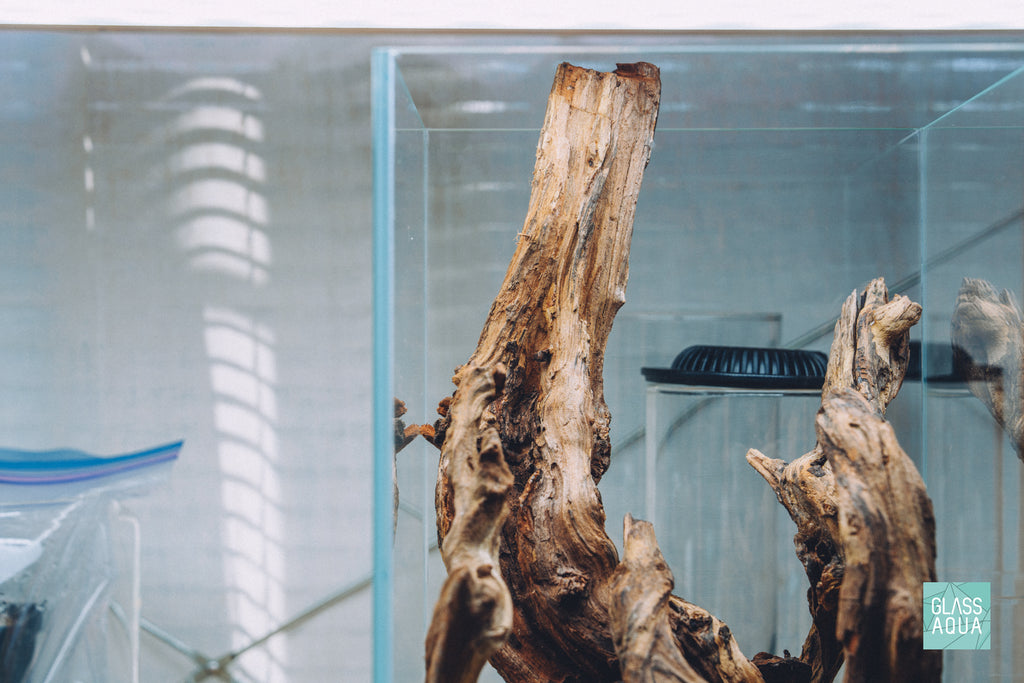 Detail of natural driftwood in Glass Aqua Quick Scape 156