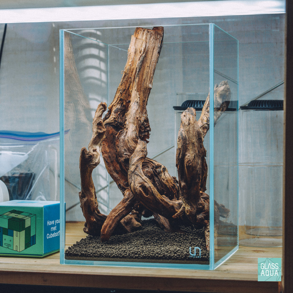 Custom Quick Scape 156 in UNS 16T rimless glass tall aquarium tank