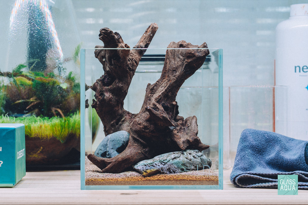 Ready aquascape in UNS 16C nano cube rimless aquarium