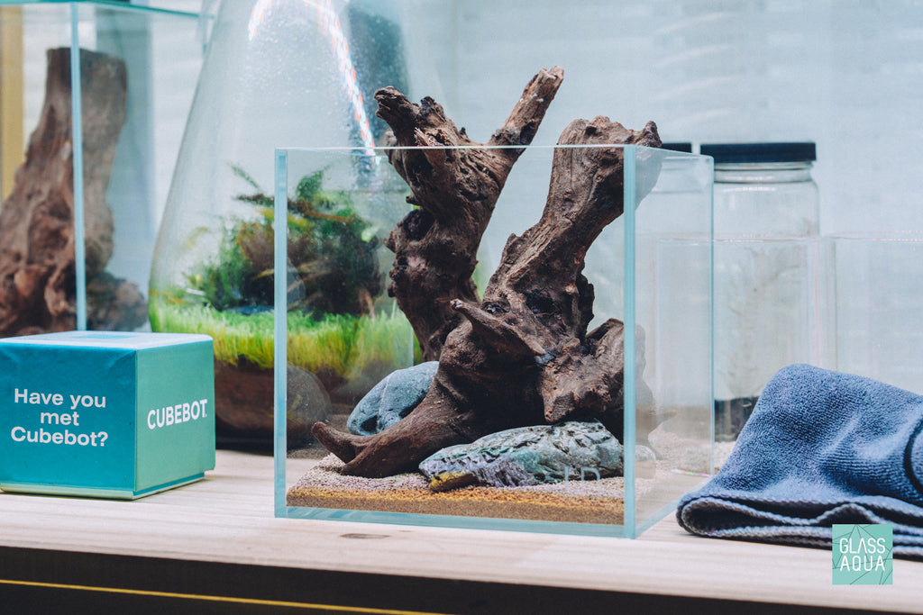 Angled shot of Quick Scape 157 using natural driftwood and stones in the Ultum Nature Systems 1 gallon cube tank