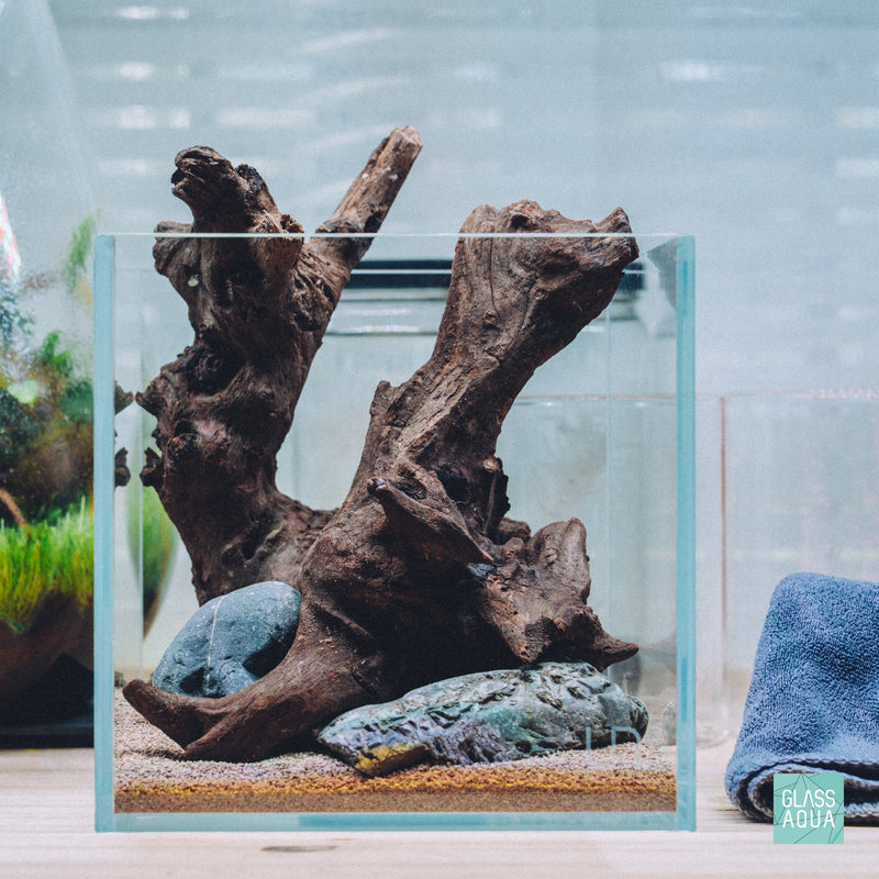 Glass Aqua Quick Scape 157 in the UNS 16C 1 gallon cube aquarium