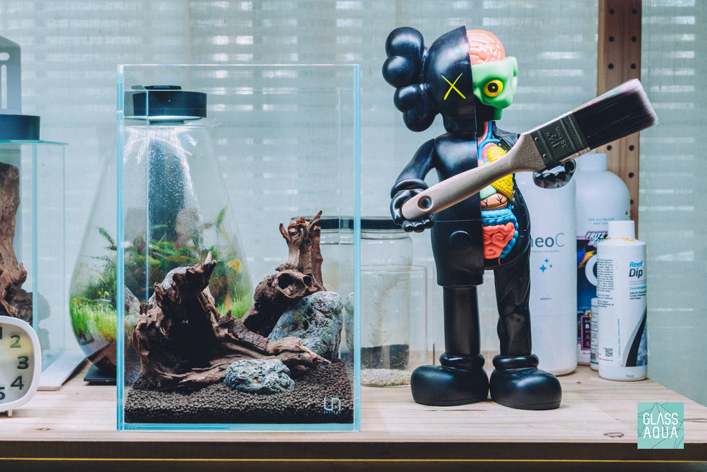 Glass Aqua Quick Scape 158 in the UNS 20T tall rimless glass aquarium