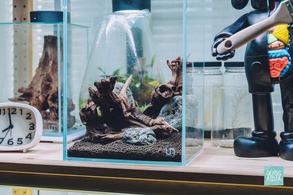 Detail shot of Glass Aqua Quick Scape 158 in UNS 20T aquarium