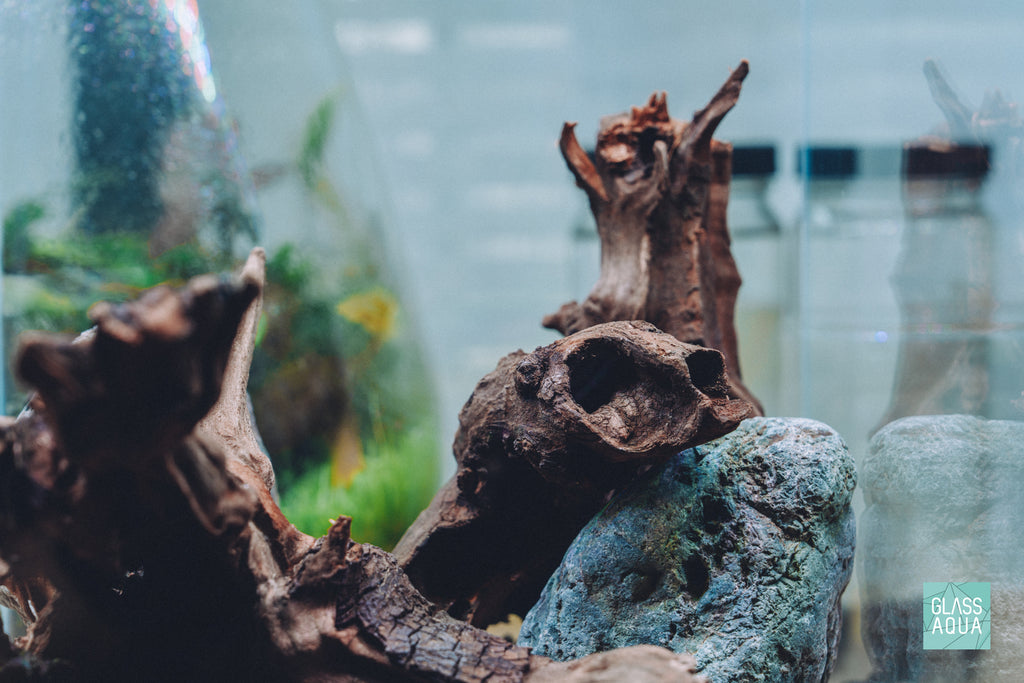 Natural texture and character in aquarium driftwood and stones