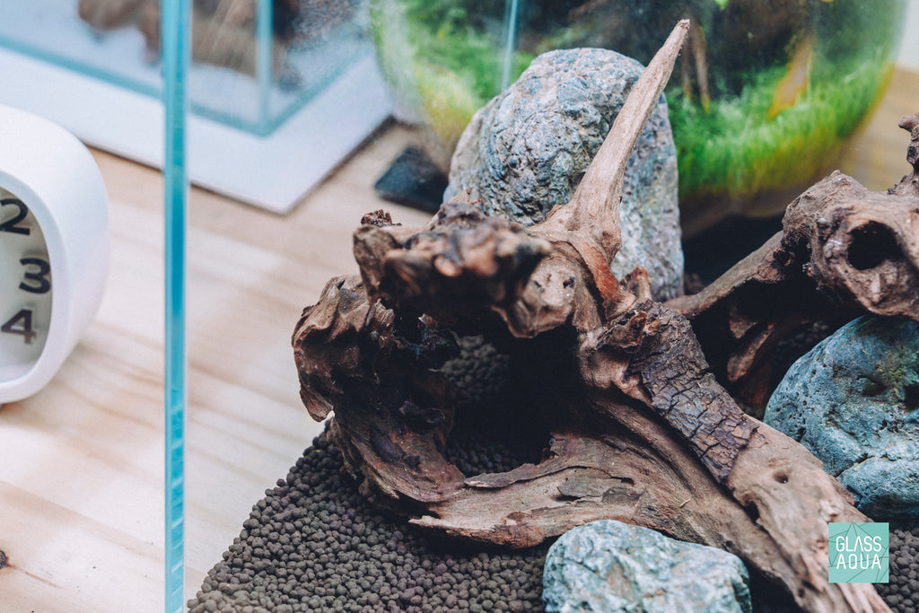 Detail shot of natural driftwood in Quick Scape 158 ready aquascape