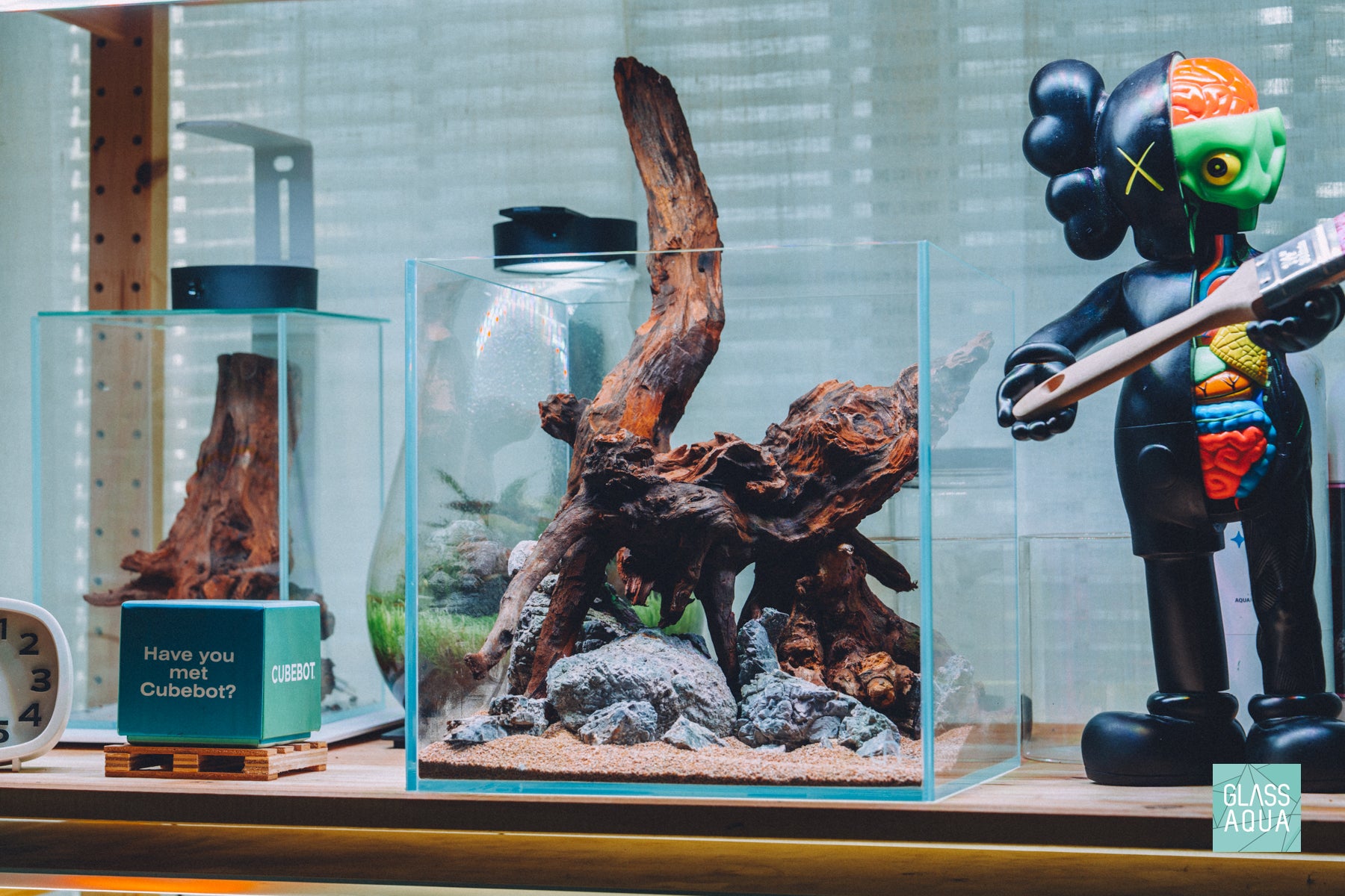 Natural driftwood and aquarium rocks in Ultum Nature Systems nano cube aquarium tank