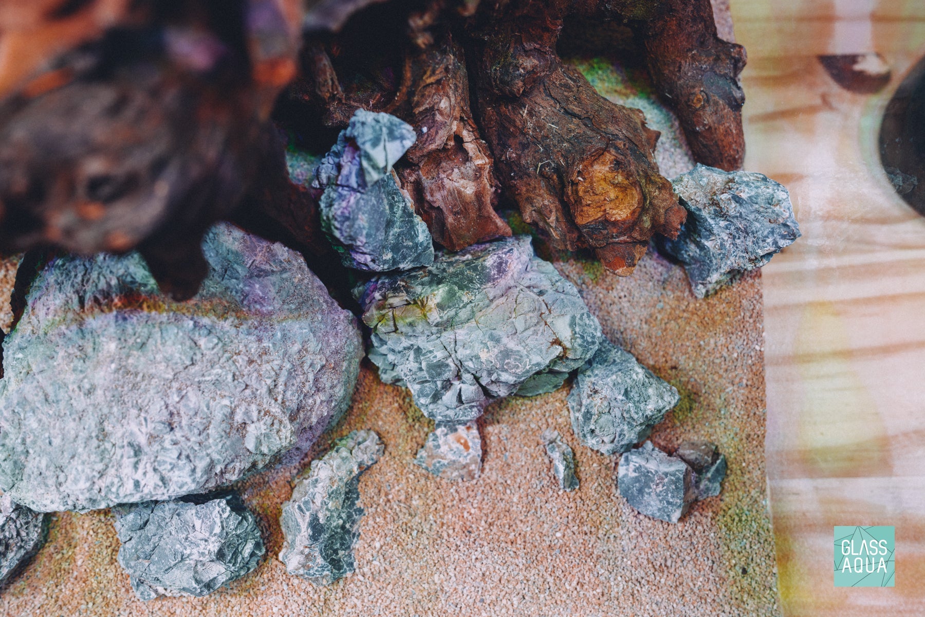 Overhead photo of natural hardscape in custom planted tank aquascape