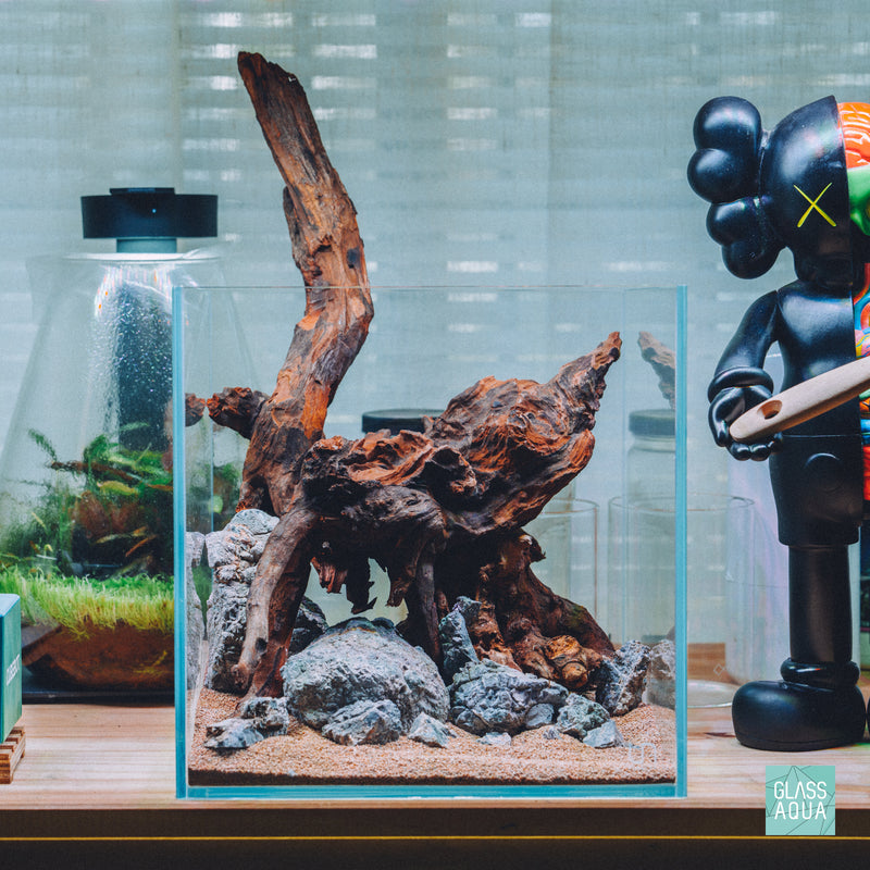 Glass Aqua Quick Scape 159 readymade planted aquarium aquascape layout