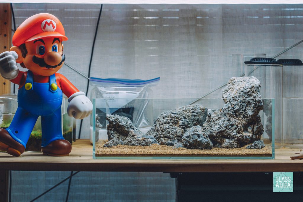 Glass Aqua Quick Scape 160 featuring Wolf Stone in the UNS 5S 2.5 shallow rimless aquarium