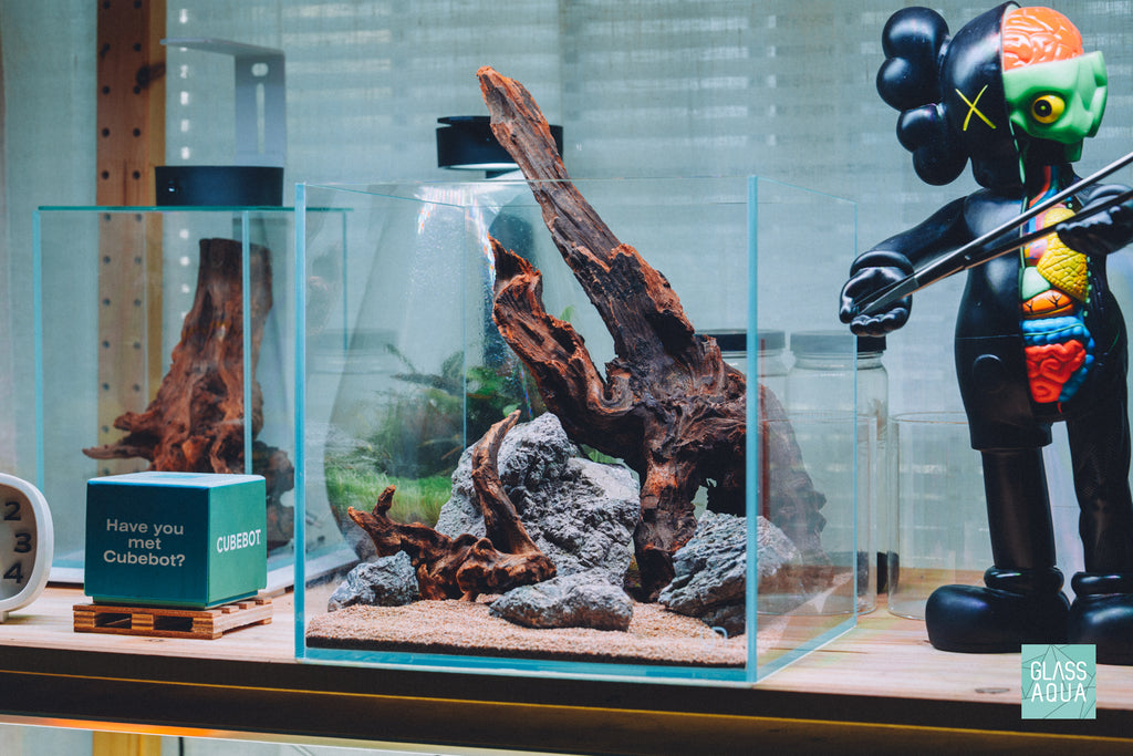 Custom planted aquarium layout by Glass Aqua