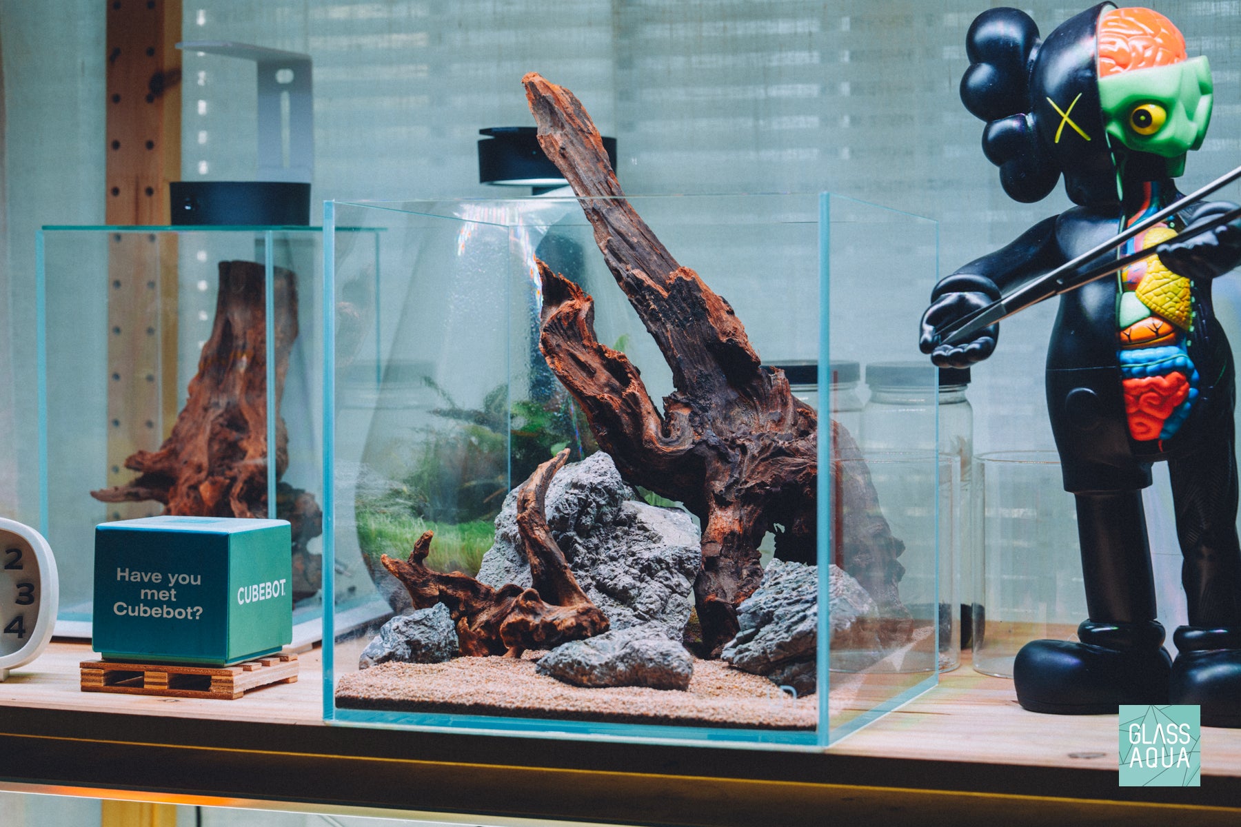 Custom planted aquarium layout by Glass Aqua