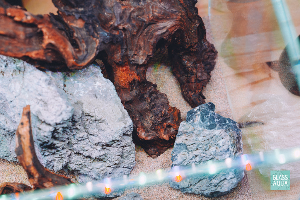 Quick Scape 161 ready aquascape detail picture by Glass Aqua