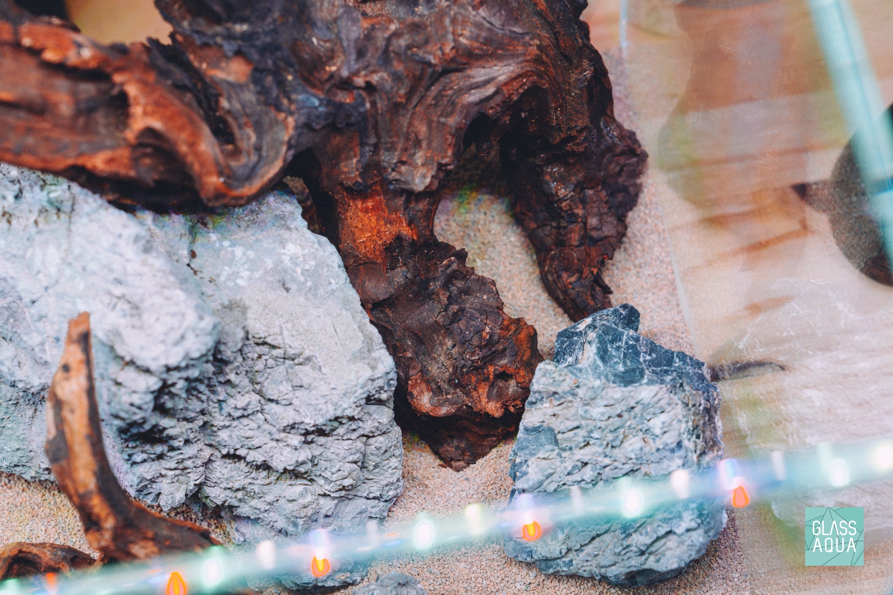 Quick Scape 161 ready aquascape detail picture by Glass Aqua