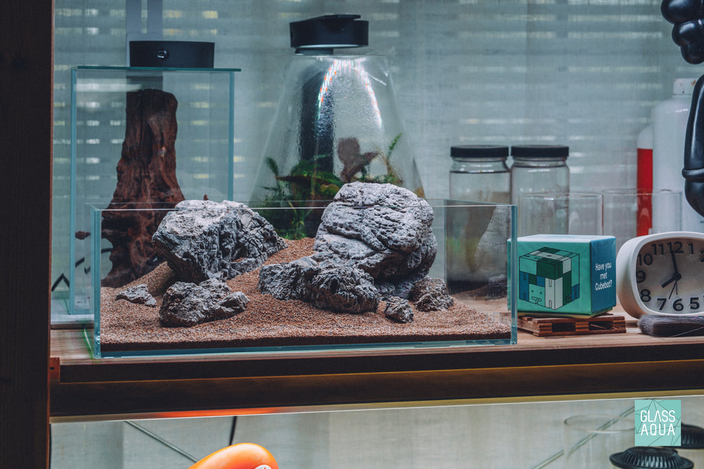 Quick Scape 164 in UNS 5S shallow rimless aquarium by Glass Aqua