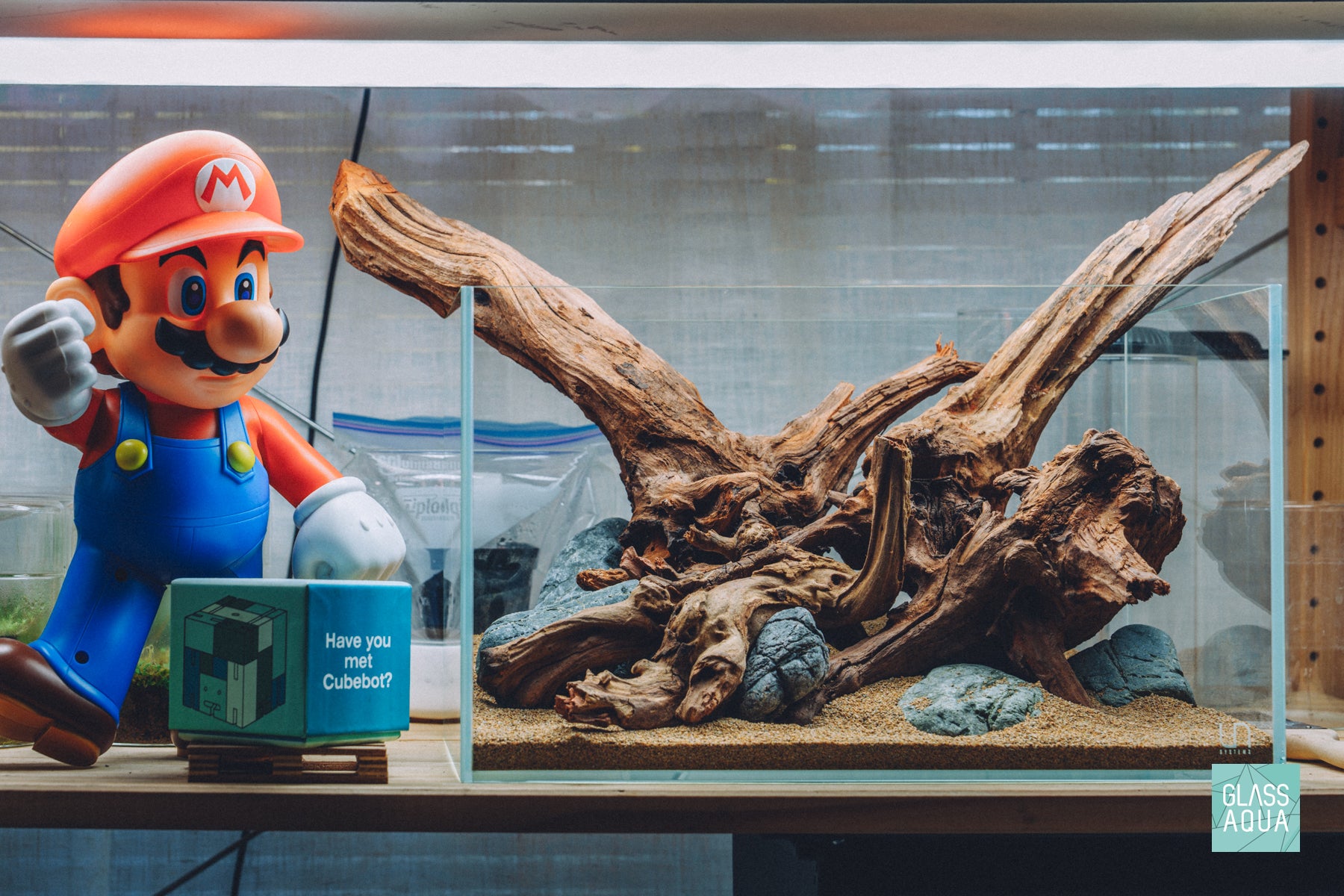 Quick Scape 165 Pacific Driftwood and Marsh Stone in UNS 5N nano aquarium