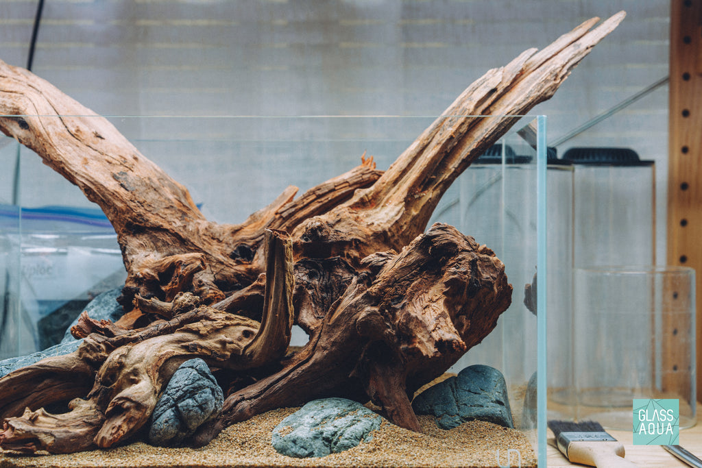 Pacific Driftwood in Quick Scape 165 by Glass Aqua