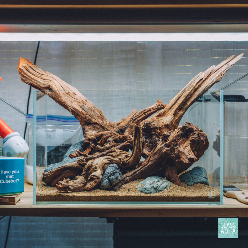 Quick Scape 165 custom ready aquascape design by Glass Aqua