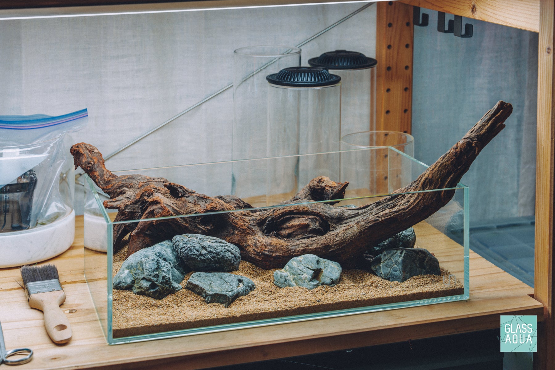 Quick Scape 166 Custom designed planted tank layout by Glass Aqua