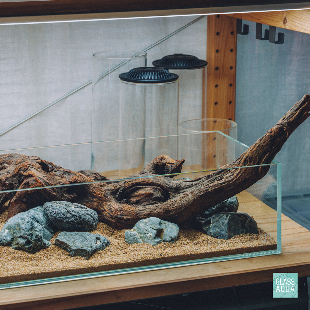 Quick Scape 166 readymade aquascape layout by Glass Aqua