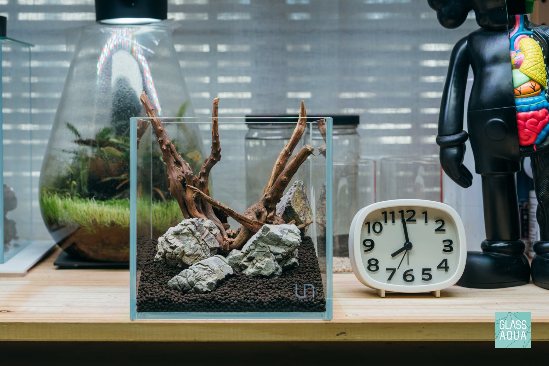 Quick Scape 168 Custom Planted Aquarium Aquascape Layout by Glass Aqua