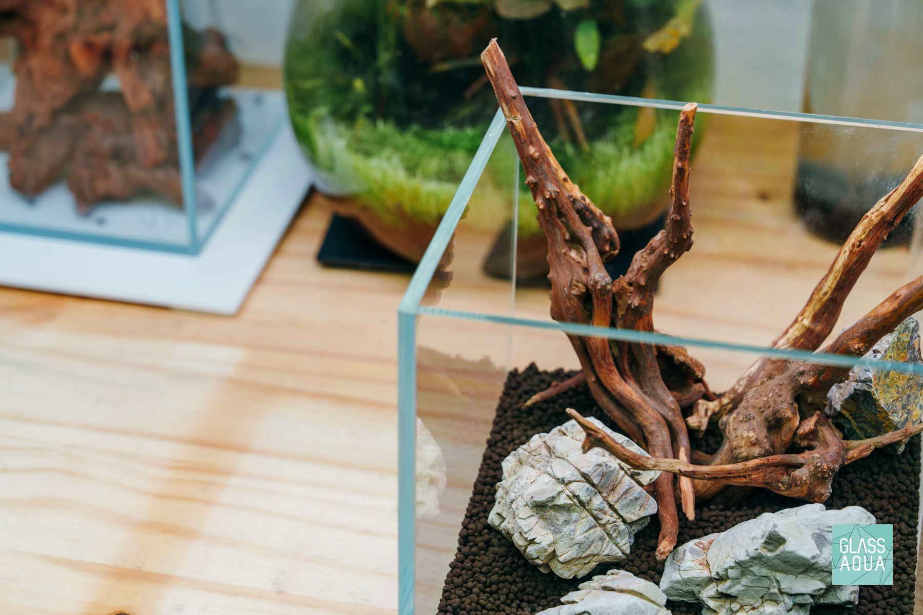 Custom Aquascape Layouts by Glass Aqua