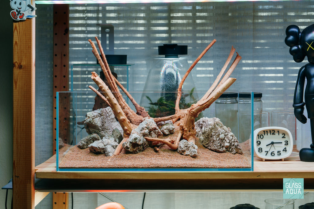 Quick Scape 169 readymade aquascape for planted tanks by Glass Aqua