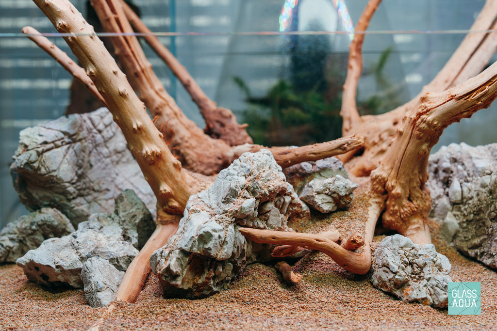 Spider Wood and Wolf Stone in UNS 45S Shallow Rimless Aquarium