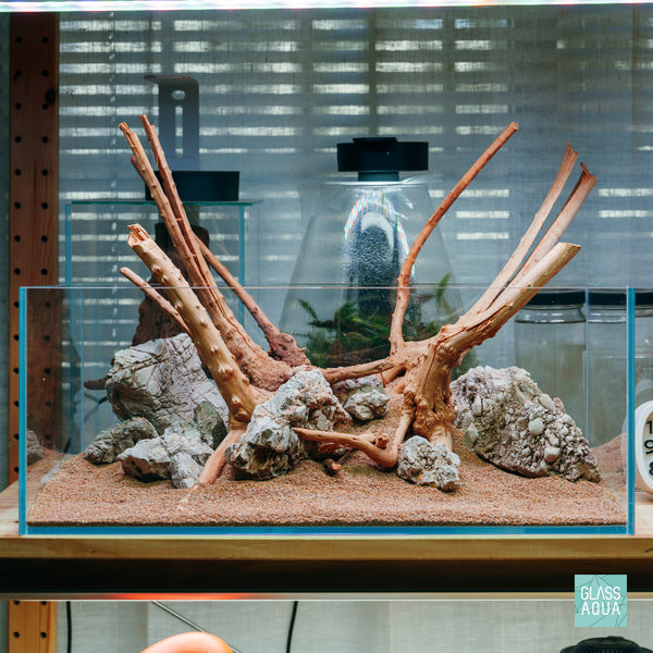 Quick Scape 169 custom aquascape layout for planted tanks by Glass Aqua